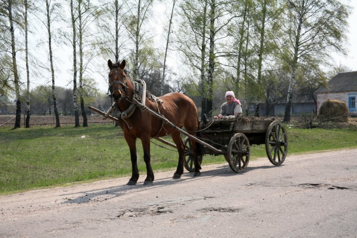 Exploring Moskau and Pogar Gregor Anthes